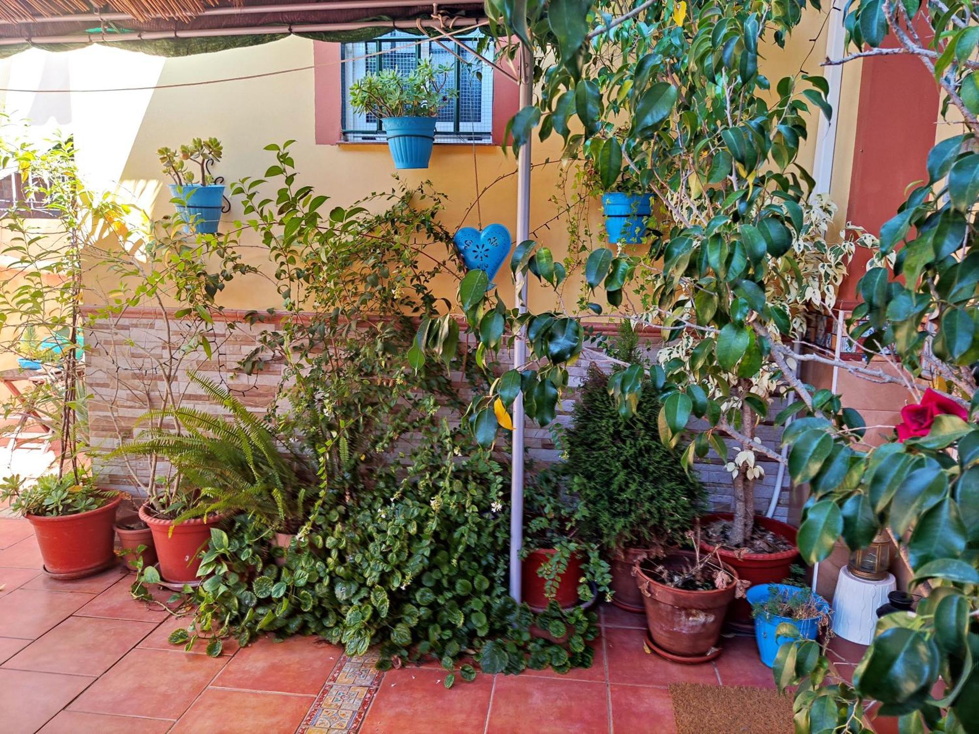 Apartamento Cool Garden Mairena del Aljarafe Exterior photo